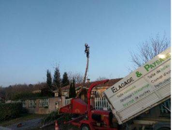 Elagueur professionnel pour arbres dangereux et arbres difficiles d'accès  en Gironde 33 - Elagage & Paysage