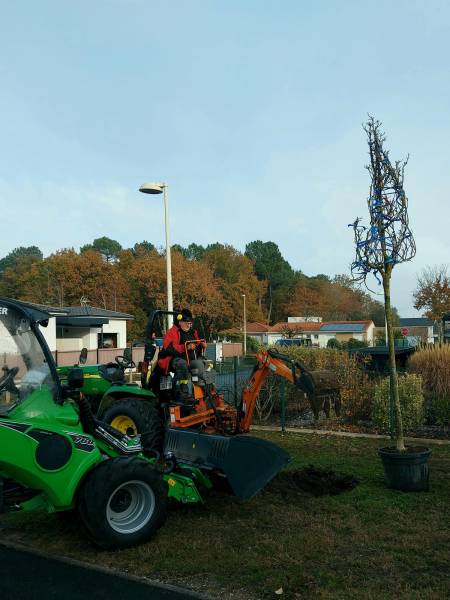 Plantation d'un arbre avec trou creusé à la minipelle à Saint Aubin de Médoc